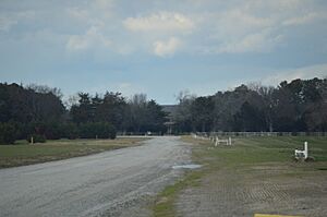 Grapeland west of Exmore