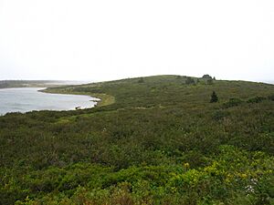 Grassy Island