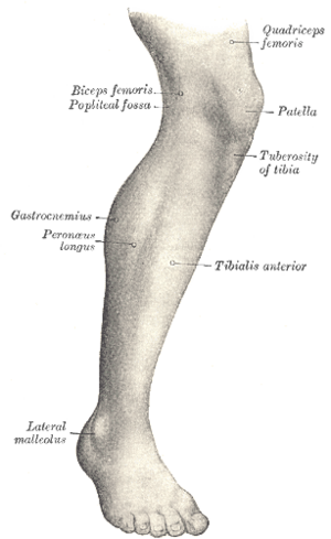 Gray1240