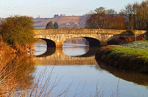 Great Bow Bridge, Langport - geograph.org.uk - 29886