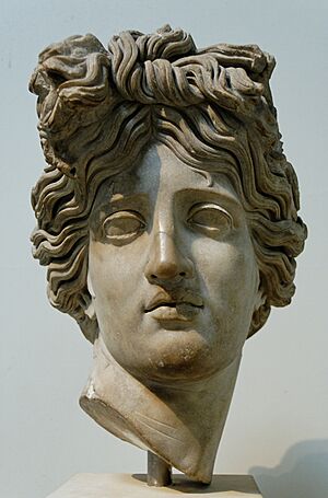 Head Apollo BM Sc1547