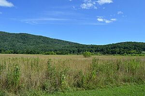 Hidden Valley from parking area, looking south
