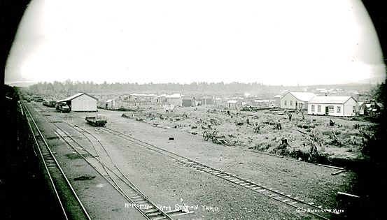 Horopito station about 1910