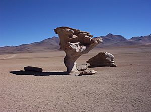 Im Salar de Uyuni