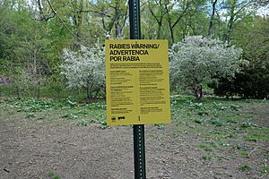 Inwood Hill Park td (2019-04-27) 013