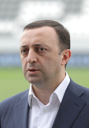 Irakli Garibashvili stadium (cropped).jpg