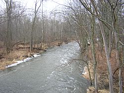 The Thornapple River just downstream from Irving Dam in the township