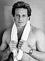 Joe Lewis karate