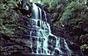 Kalang Falls Kanangra-Boyd NP.jpg