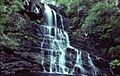 Kalang Falls Kanangra-Boyd NP