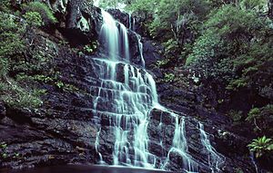 Kalang Falls Kanangra-Boyd NP