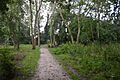 Kendal Park 7