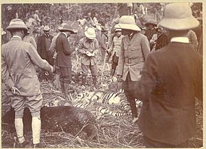King George V Hunting in Nepal in 1911 (3)