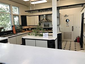 Kitchen Biosphere 2