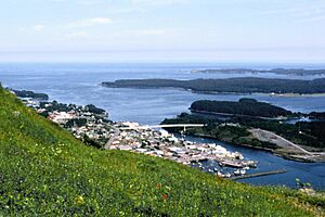 KodiakAlaskaAerialView