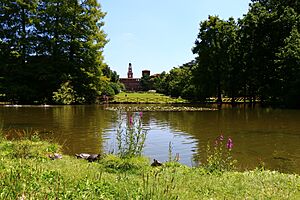 Laghetto nel Parco Sempione con tartarughe, sullo sfondo il Castello Sforzesco