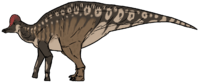 Life reconstruction of Corythosaurus casuarius.png