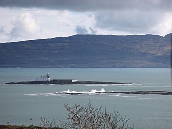 Lighthouse on Roancarrigmore in the Bantry Bay - geograph.org.uk - 1121216.jpg