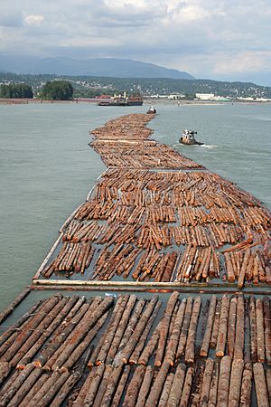 Log driving in Vancouver