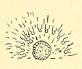 Lone Dog's Sioux winter count, 1870. Thirty Crows killed in battle