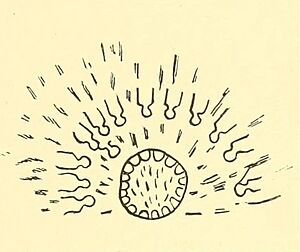 Lone Dog's Sioux winter count, 1870. Thirty Crows killed in battle