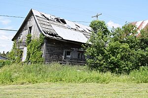 Maison Vital-Roy - 3