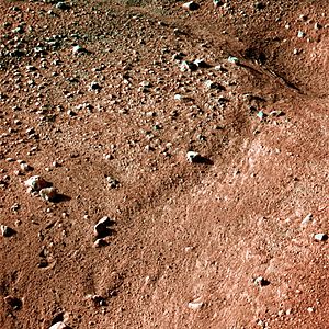 Mars from Phoenix