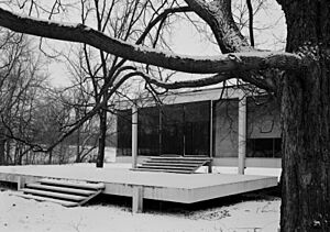 Mies van der Rohe photo Farnsworth House Plano USA 4