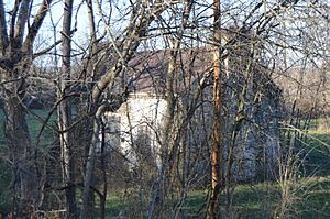 Mordecai Chalfant House through the trees