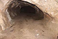 Ogof Bontnewydd Cave