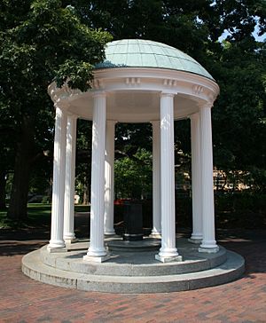 Old Well 2008