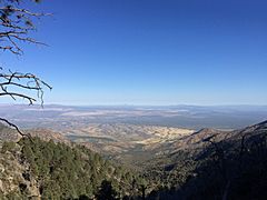 Overlooking Green Valley from the Santa Rita mountains