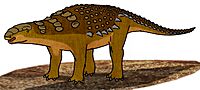 Panoplosaurus 055.JPG