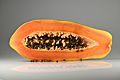 Papaya - longitudinal section