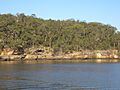 Picnic Point 2