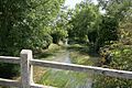River Ebble at Coombe Bisset