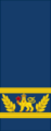 Royal Canadian Air Force sleeves (Commander-in-Chief of the Canadian Armed Forces)