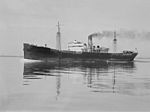 SS Golden Kauri.jpg