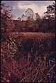 STUMPY BASIN, A BOTANICAL AREA NORTH OF PENINSULA, OHIO, NEAR CLEVELAND, THAT IS OWNED BY KENT STATE UNIVERSITY.... - NARA - 558088