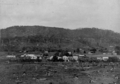 Settlement of Kaihu ATLIB 220922