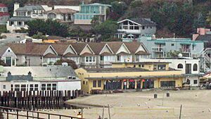 Six sisters, Capitola, California