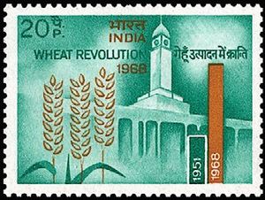 Stamp of India - 1968 - Colnect 239052 - Wheat Revolution