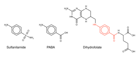 Sulfa folate