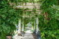 THE WISTERIA ARBOR