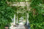 THE WISTERIA ARBOR.png