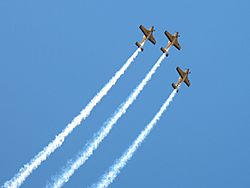 Tcas-aerobatics3.jpg