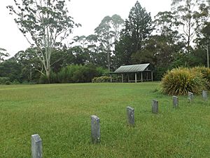 The Settlement picnic area at Springbrook, Queensland