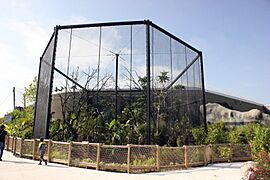 The Thailand Hornbill Enclosure at Chester Zoo - geograph.org.uk - 5118252