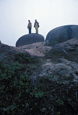 Tors on Colonels Mountain NB Canada2