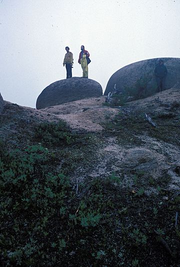 Tors on Colonels Mountain NB Canada2.jpg